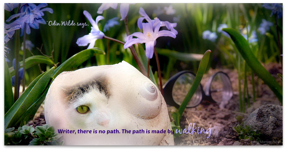 cat  photo quote- writing wisdom for spring