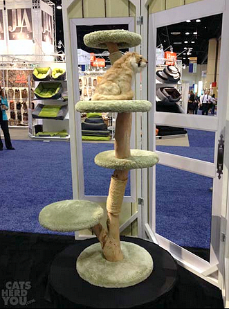 Global pet expo 2015 cat products-006
