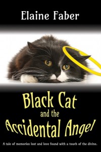 Black cat and the accidental angel
