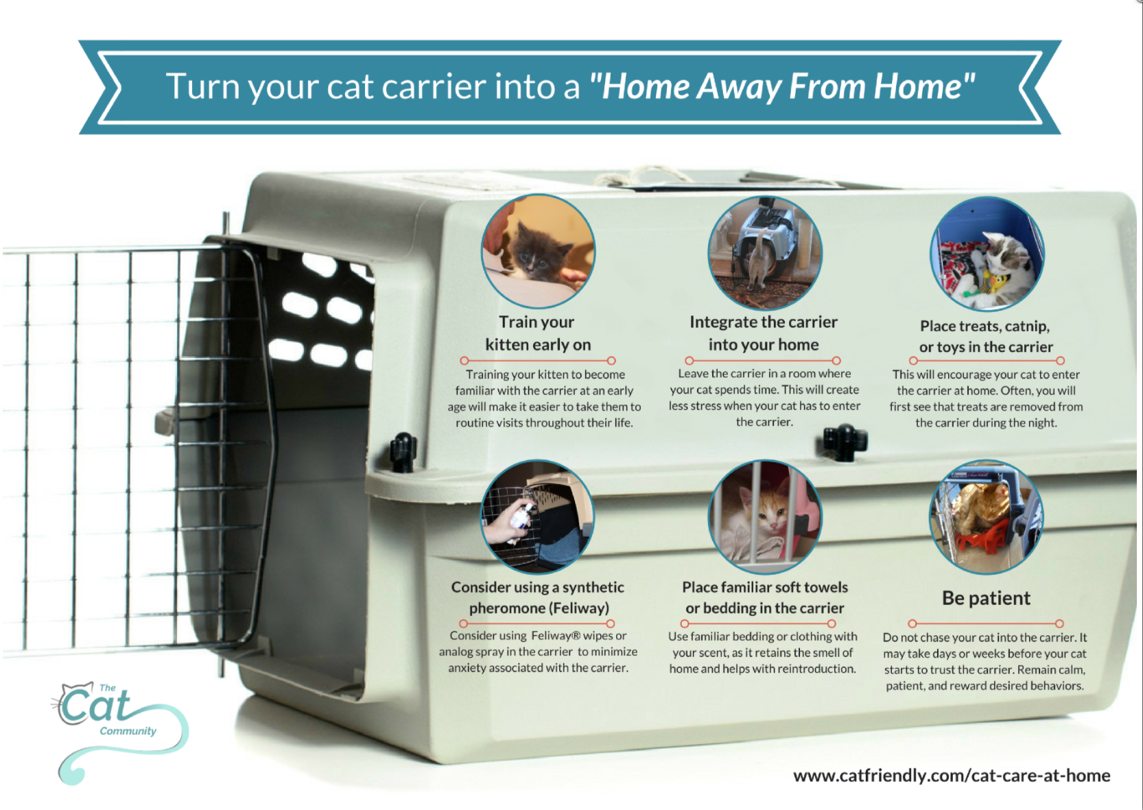 Turn Your Cat Carrier into a Home Away From Home