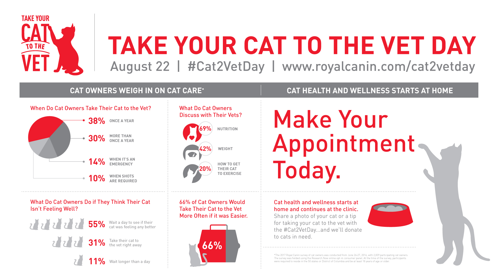 Take Your Cat to the Vet Day infographic