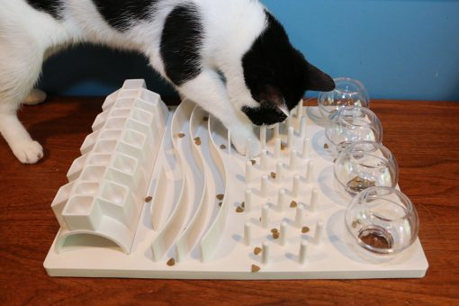 cat with food puzzle