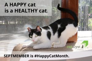 September is Happy Cat Month