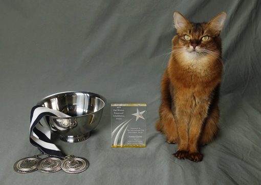 Cat Writers Communication Contest Awards