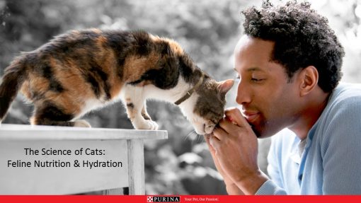 Man interacting with calico cat, i the Science of Cats slide from Purina.