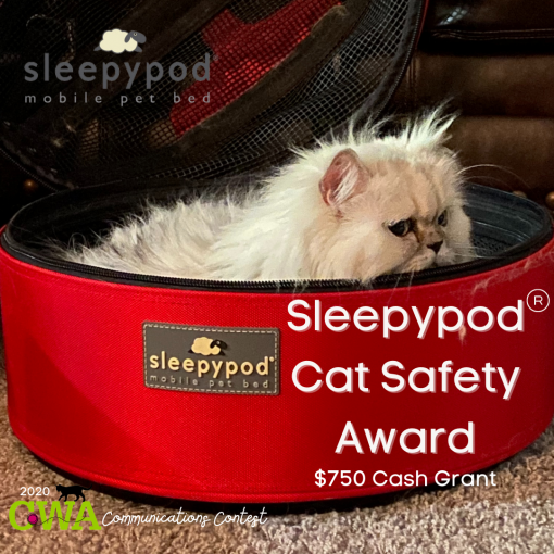 sleepy pod cat safety award showing a cat in a pod