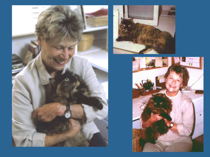 Shirley Rousseau Murphy - photos of woman holding a cat