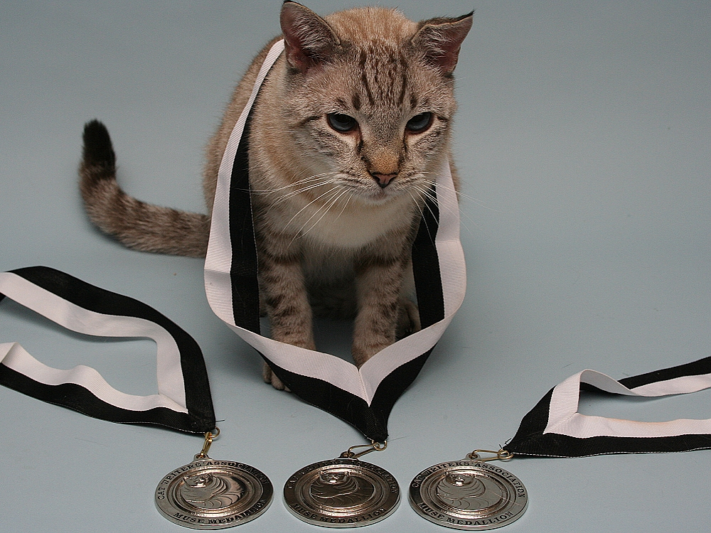 Cat Celebrating 3 Muse Medallions