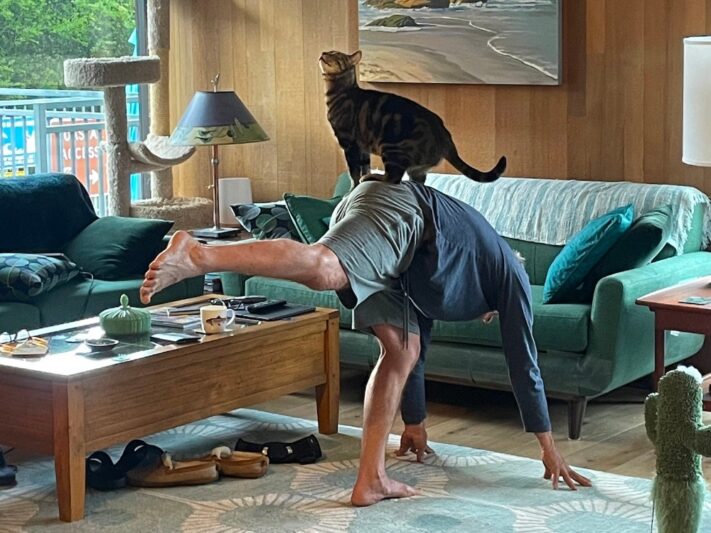 man doing yoga with cat standing on his back