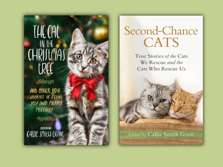 Book covers: The Cat in the Christmas Tree and Second-Chance Cats.