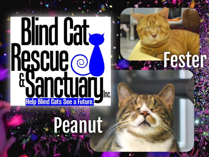 Logo for the Blind Cat Sanctuary with photos of two very handsome blind cats.