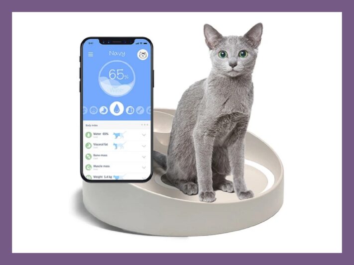 A cat sitting in the InPet: Monitor which measures several key metabolic indicators in a cat in only 10 seconds! 