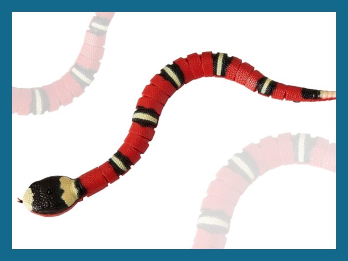 Cute cat toy,  Ethical Products’ Wigglin’ Snake. 