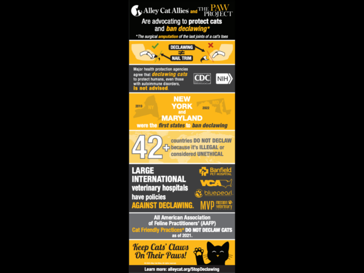 Alley Cat Allies Infographic on declawing cats