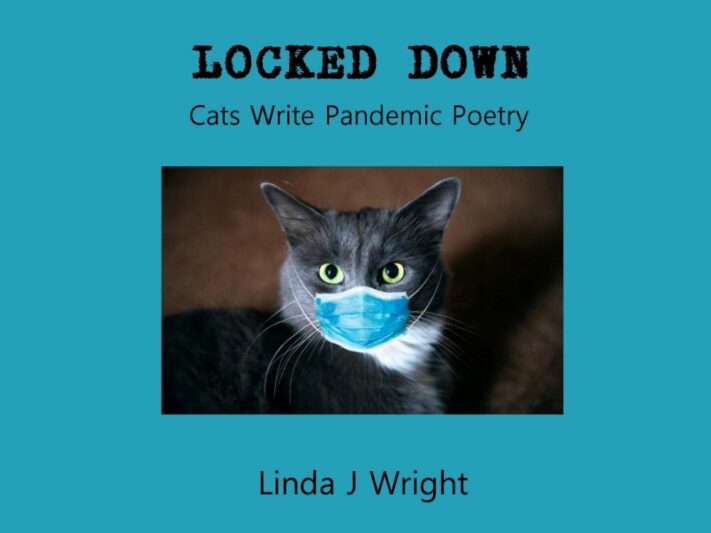 Book cover for Locked Down showing a cat in a blue COVID mask.