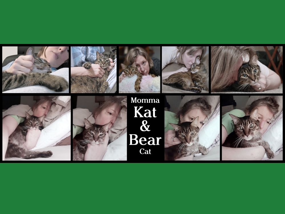A collage of Momma Kat and her cat Bear.