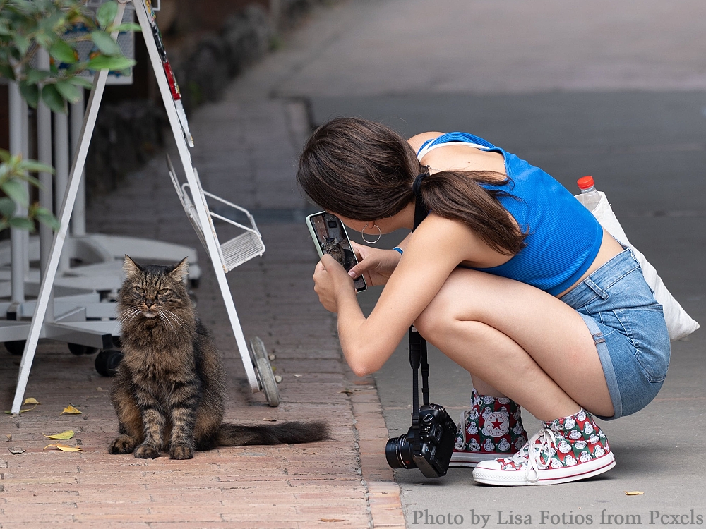 A woman taking a photo of a long-haired tabby cat on a street.