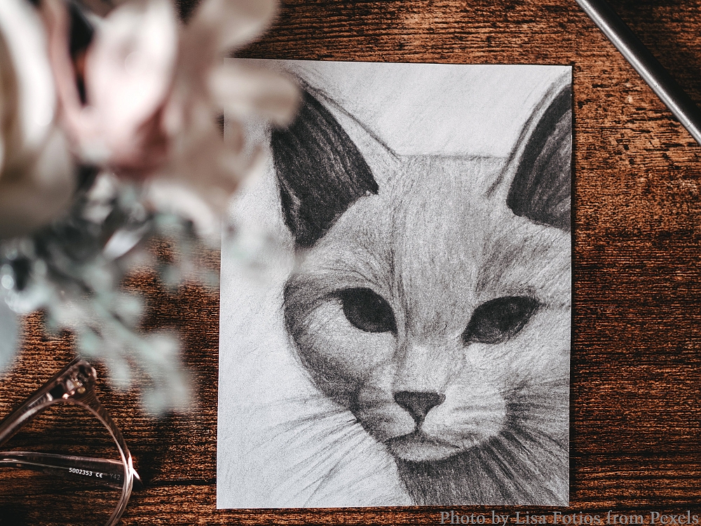 Pencil sketch of a cat.