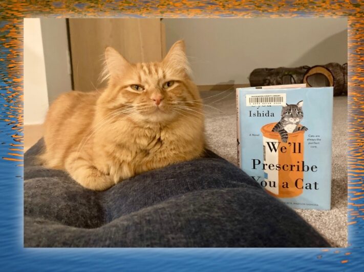 Orange cat posing with author's book