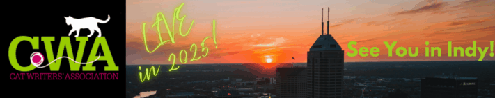 banner with city and words See You in Indy
