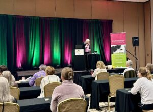 image of writers enjoying the CWA annual conference