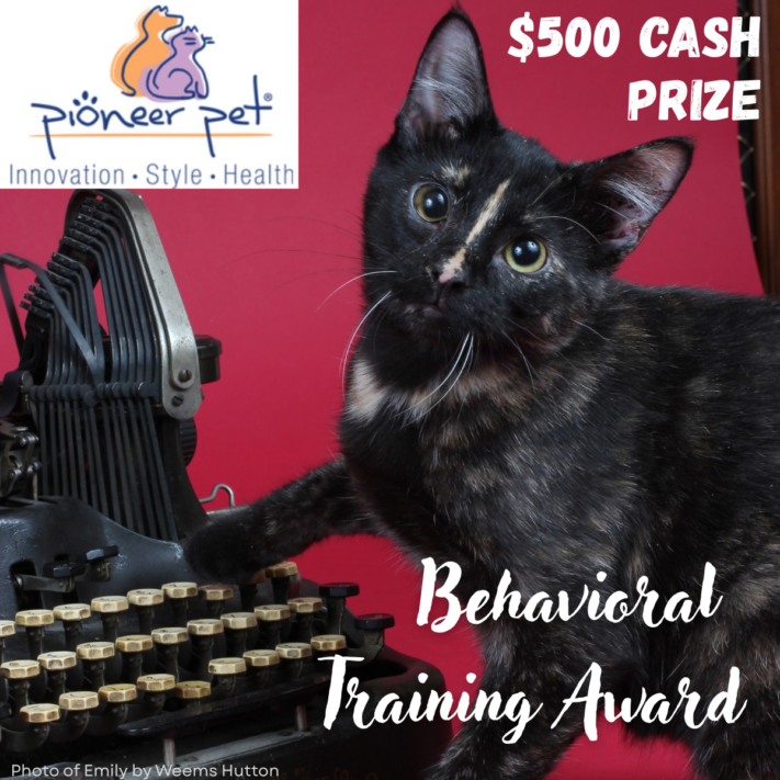 Image of calico cat Emily at old time typewriter with words "Pioneer Pet $500 Cash Prize"