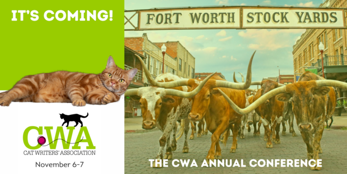 Header featuring cat with words "It's coming: The CWA Annual Conference" over image of Texas Long Horn cattle stampeding down road.