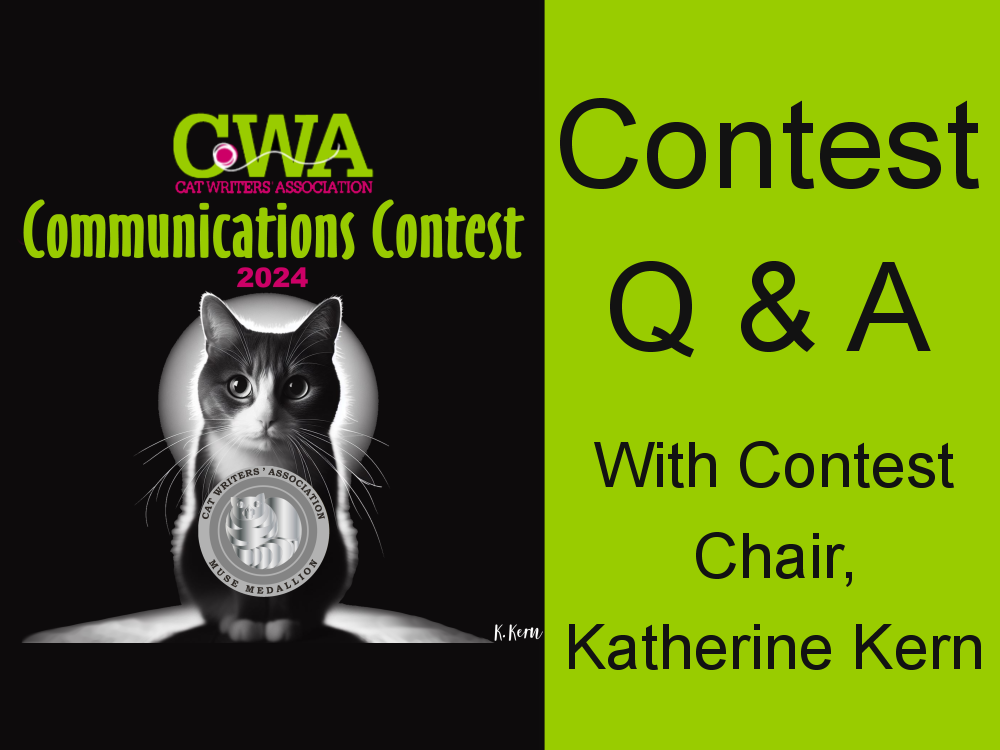 Contest Q&A with Contest Chair Katherine Kern