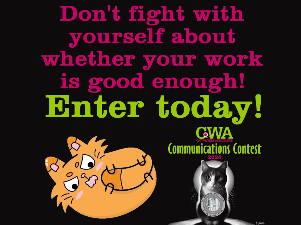 Don't fight with yourself about whether your work is good enough! Enter today!