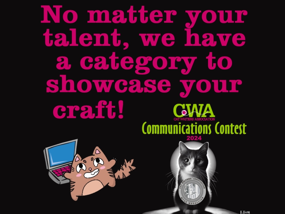 No matetr your talent, we have a category to showcase your craft