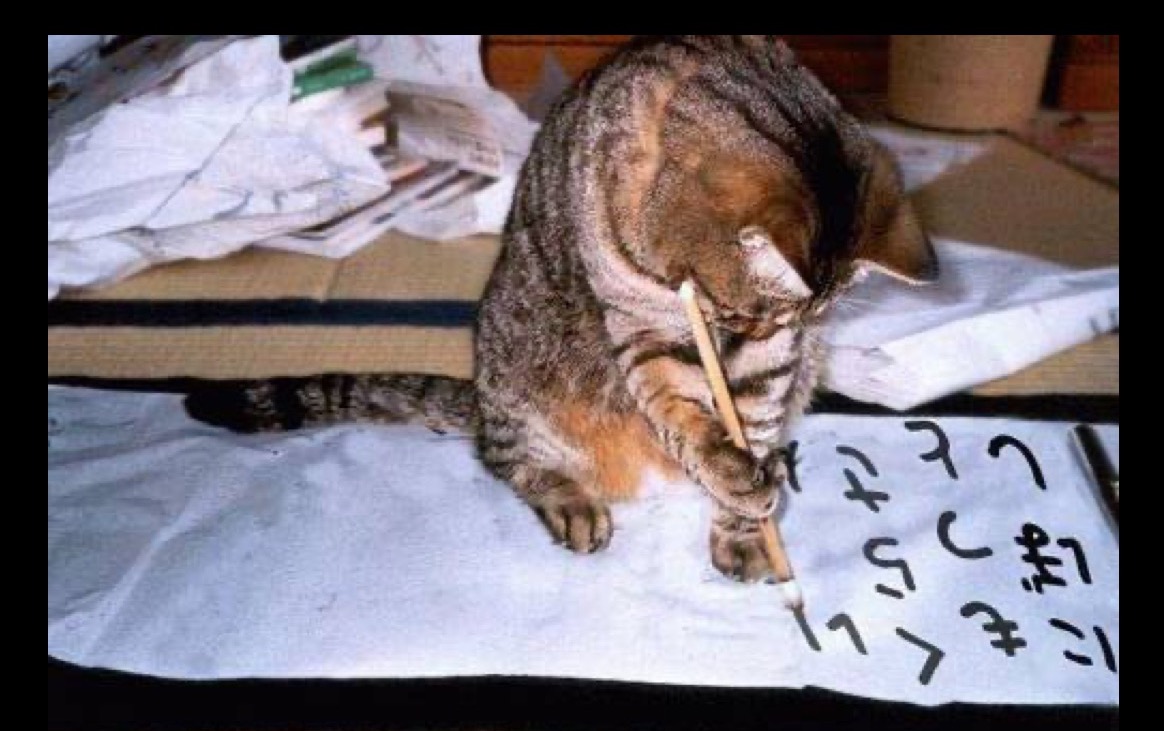 A tabby cat painting Japanese letters on paper.
